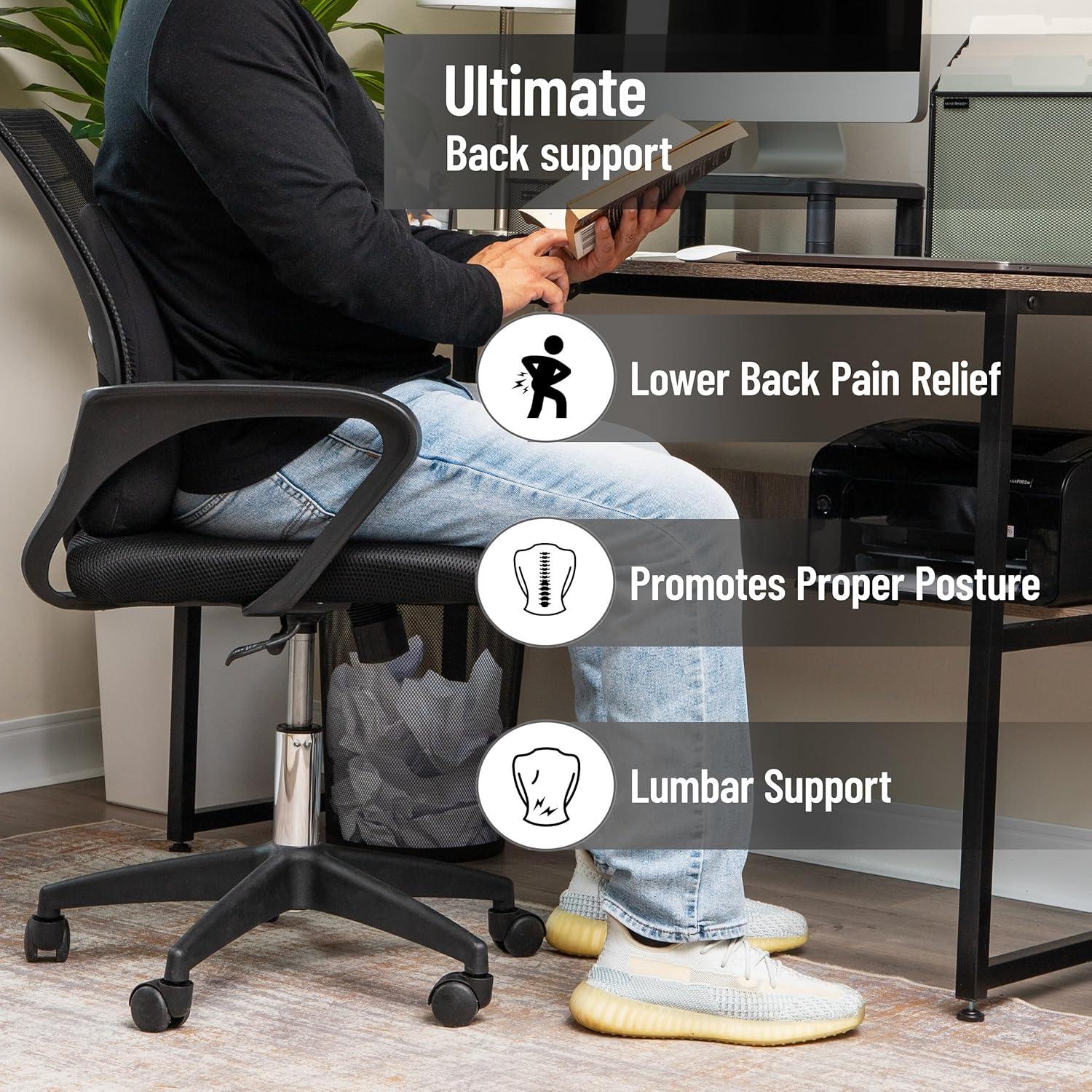 imageMind Reader Lumbar Support Pillow with AirCloud Technology Office Chair Back Cushion Memory Foam Black