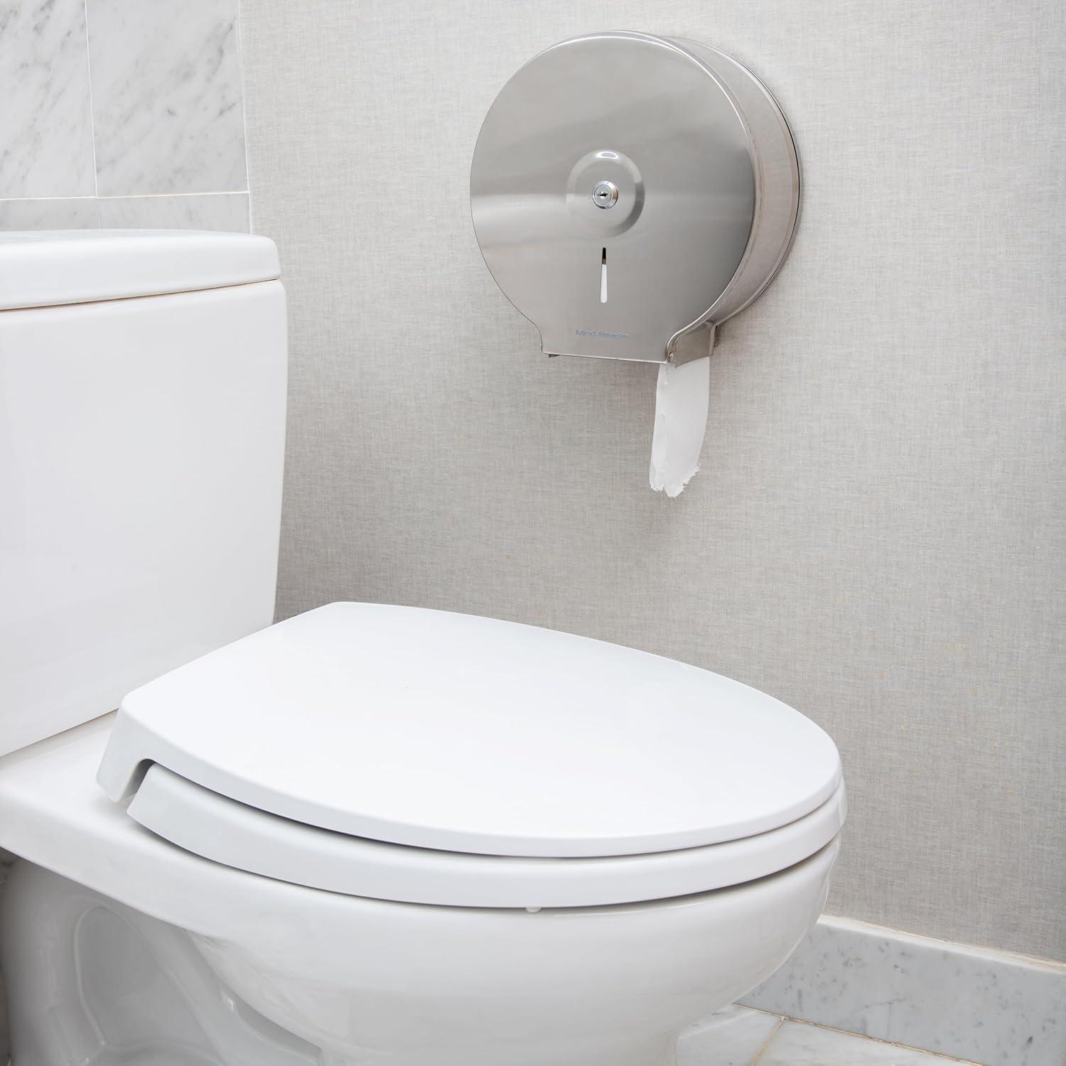 imageMind Reader Toilet Paper Dispenser Wall Mount Lock with Key Restroom Stainless Steel 10L x 1025W x 45H SilverSilver